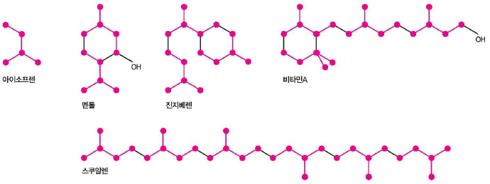 분자의 약수를 찾아라