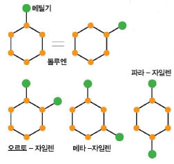 고리형 분자의 '경우의 수'