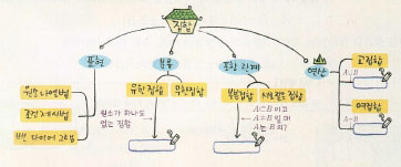 중학교 1학년 비유와상징 수학 교과서 26쪽