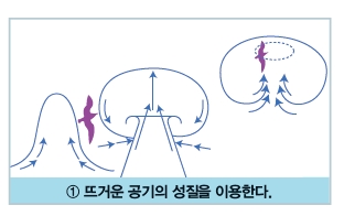 덩치가 비교적 큰 철새는 뜨거운 공기가 위로 올라가는 성질을 이용해 힘을 덜 들이고 높이 올라간다.