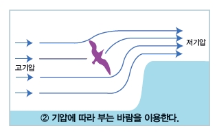 철새는 고기압에서 저기압으로 부는 바람을 타고 좀 더 수월하게 언덕을 넘는다.