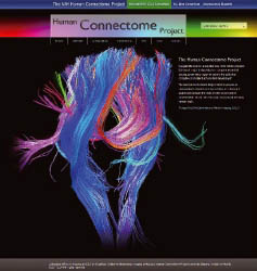 사람 뇌의 신경세포 간 연결지도인 ‘커넥톰’을 연구하는 커넥톰 프로젝트 홈페이지(humanconnectomeproject.org).