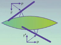 (그림3) 왼쪽과 오른쪽 노를 저을 때 배를 앞으로 가게 하는 힘(P)은 같은방향으로 작용하지만 또 다른 두 힘은 서로 반대방향(F=-F )으로 작용한다.