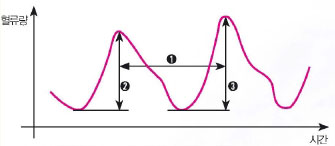 (그림1) 시간에 따른 혈류량(피가 흐르는 양)의 변화