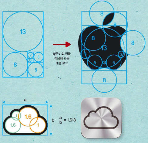 ❹ 직관적인 아름다움, 황금비로 그린 사과
