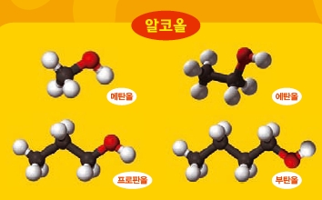 길쭉한 모양의 알코올 분자들이에요. 메탄올부터 하나씩 길이가 길어져요. 맨 오른쪽 빨간 부분과 흰 부분이 바로 ‘히드록시기’랍니다. 프로판올과 부탄올은 길쭉한 모양 말고도 다양한 모양이 있어요,.