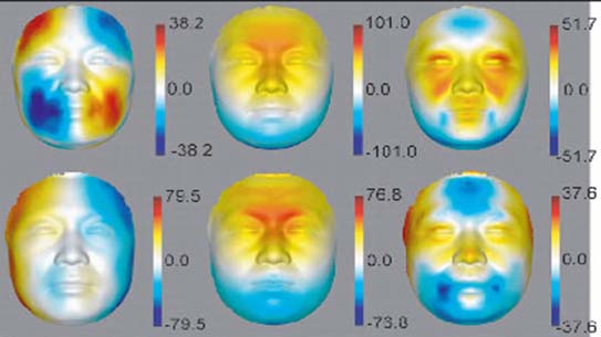x축과 y축, z축을 기준으로 한, 얼굴 입체 구조에 따른 열 분포도. 노화가 얼굴의 미치는 영향을 통계적 분석법인 ‘부분최소제곱법’으로 분석해 얻은 결과다.