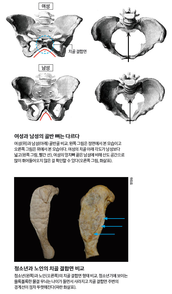 height:978px; width:574px