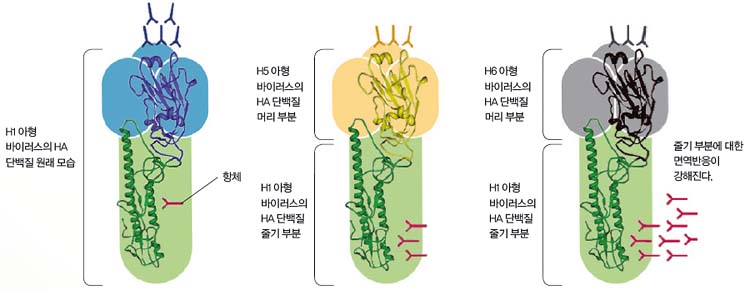 height:290px; width:750px