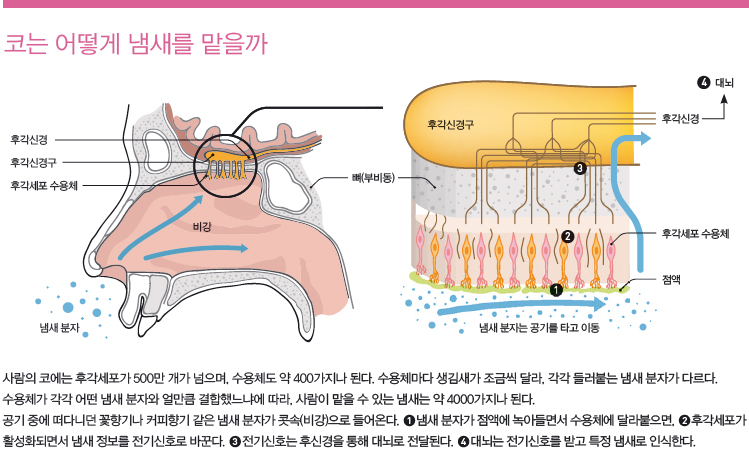 height:452px; width:749px