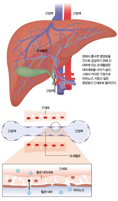 height:688px; width:404px