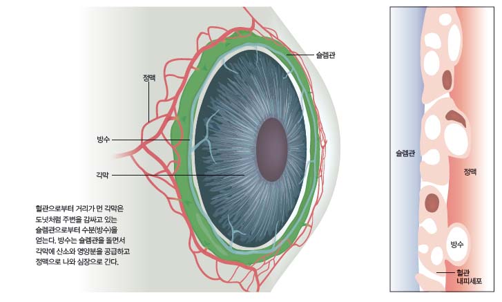 height:437px; width:727px