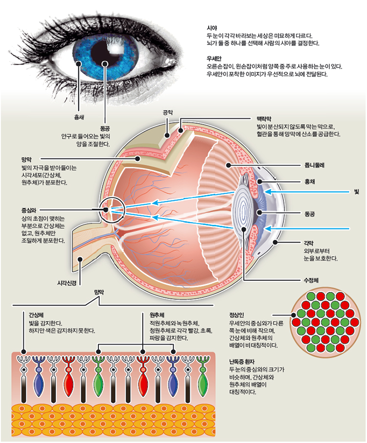 height:906px; width:750px