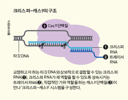 height:331px; width:424px