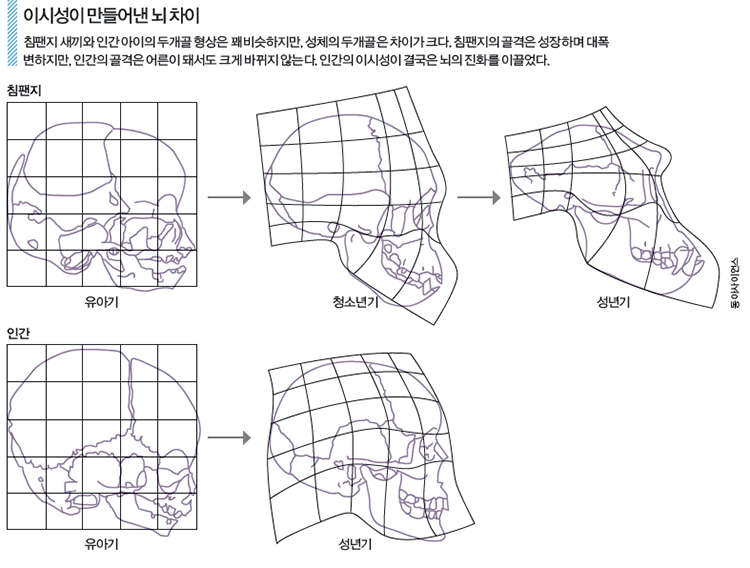 height:568px; width:750px