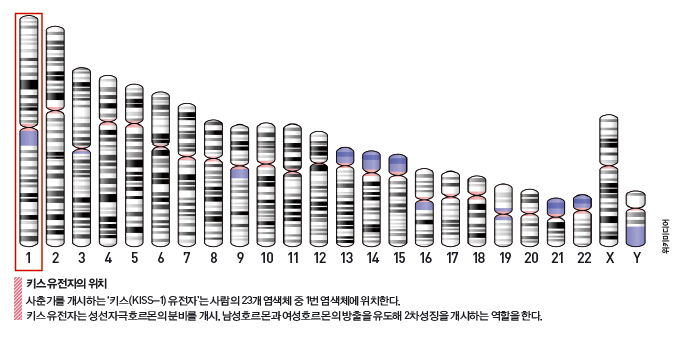 height:337px; width:679px