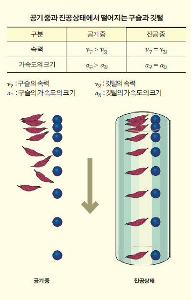 height:614px; width:391px