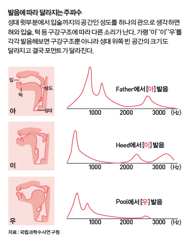 height:487px; width:393px