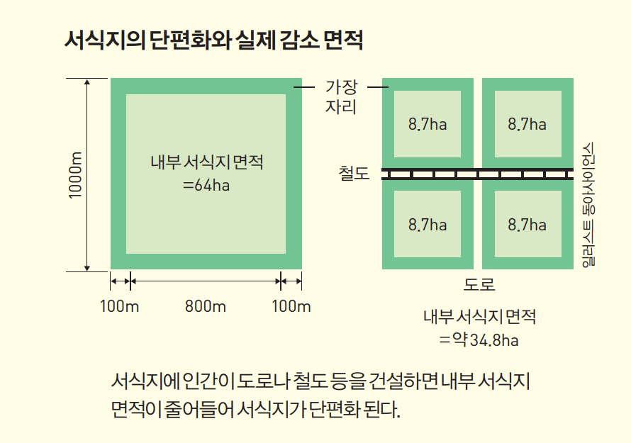 height:527px; width:750px