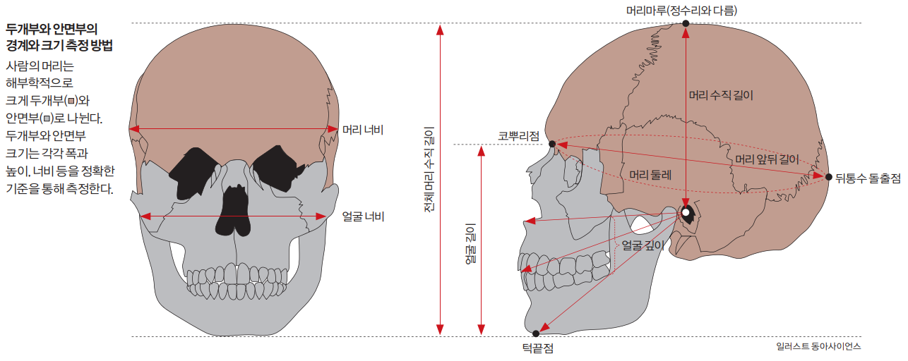 height:299px; width:750px