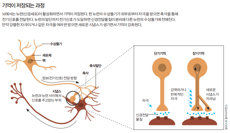 height:433px; width:750px