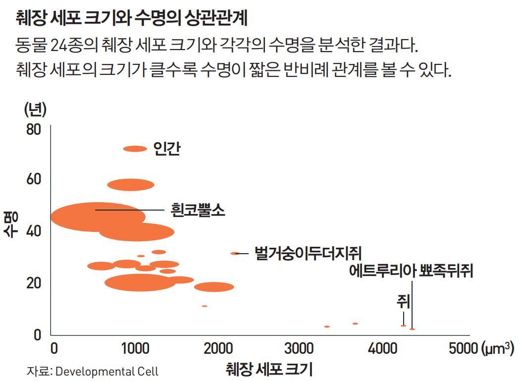 height:292px; width:400px