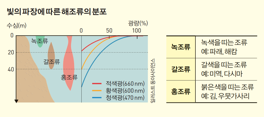 height:333px; width:750px