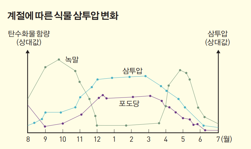 height:447px; width:750px