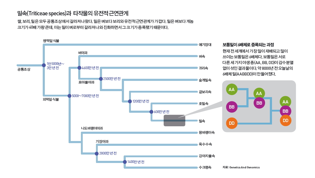 height:441px; width:780px