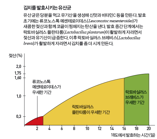 height:481px; width:545px