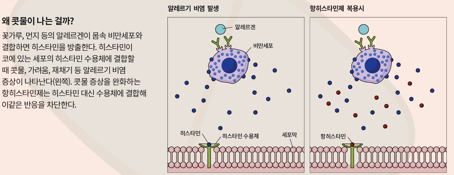 height:290px; width:750px