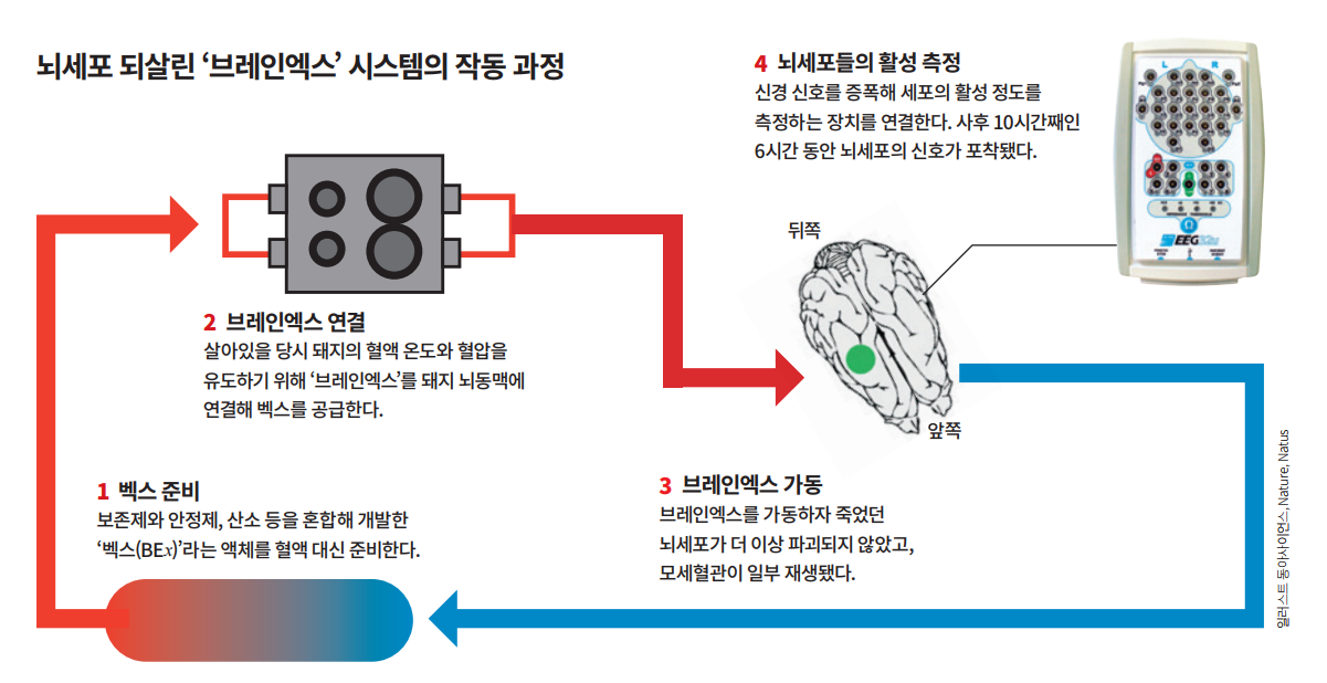 height:386px; width:750px