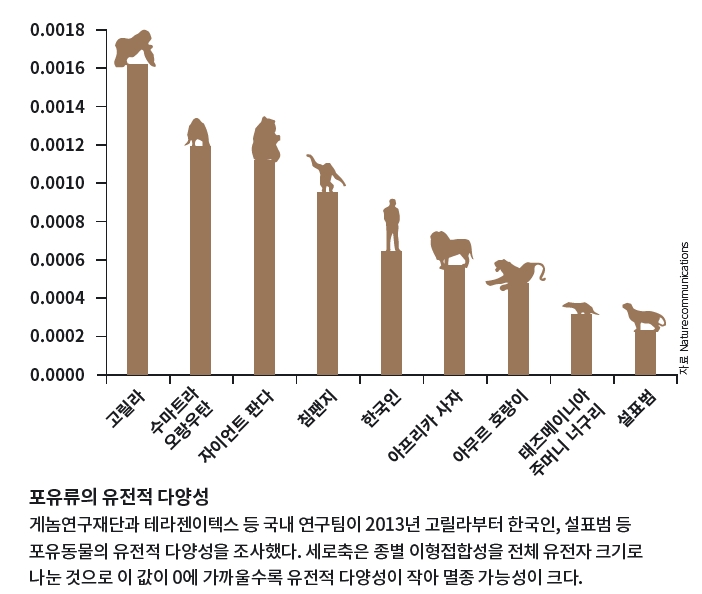 height:594px; width:702px