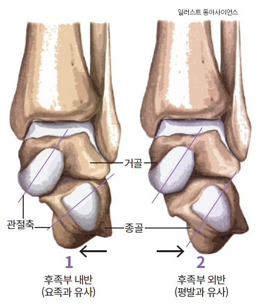 height:618px; width:530px