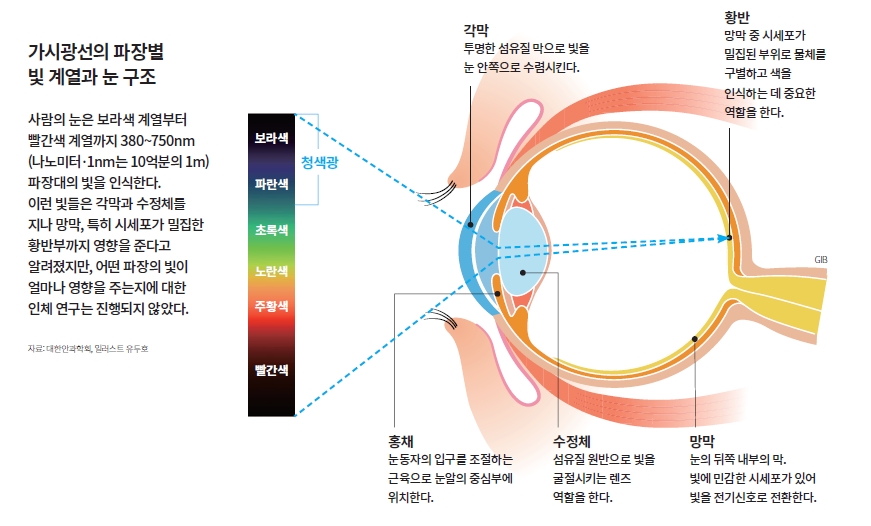 height:471px; width:780px