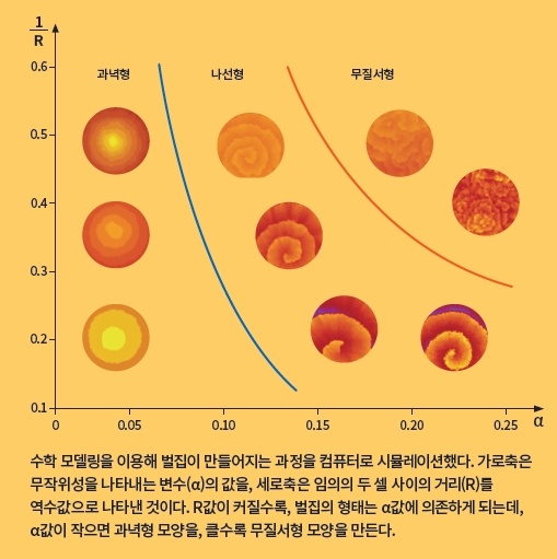 height:511px; width:509px