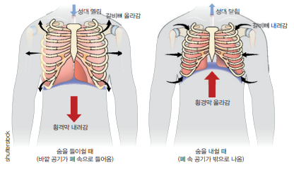 height:294px; width:500px