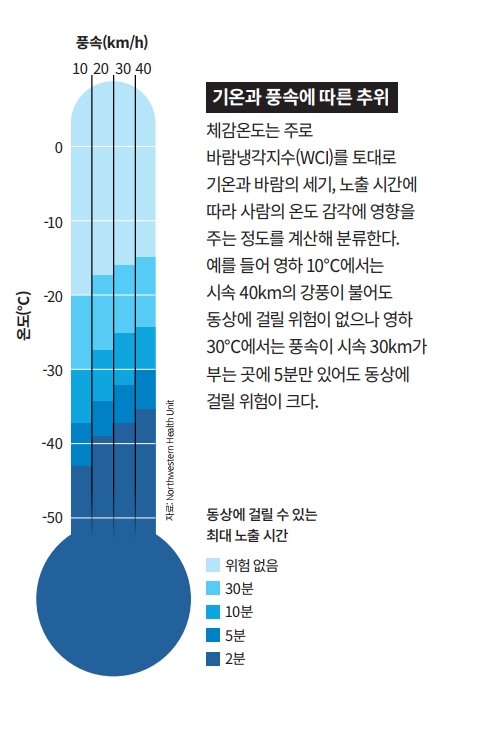 height:742px; width:496px