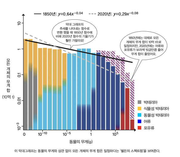 height:526px; width:604px