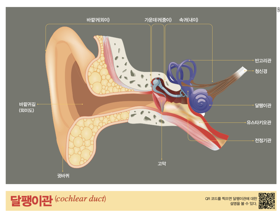 height:572px; width:751px