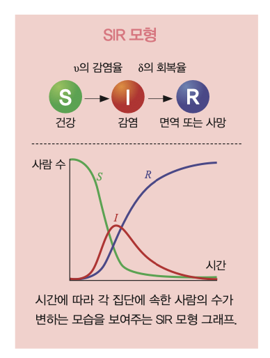 height:514px; width:388px