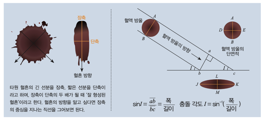 height:347px; width:750px