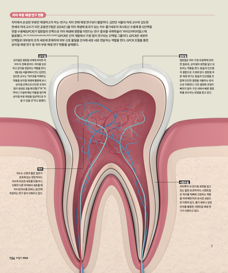 height:863px; width:720px