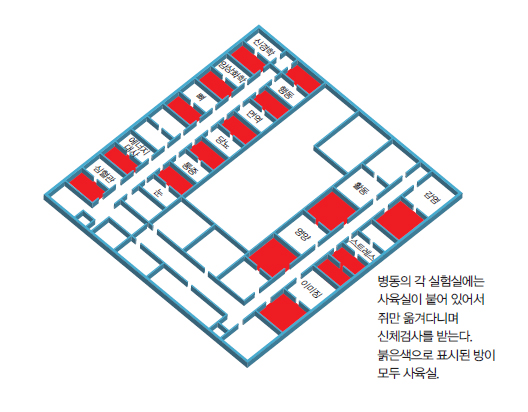 병동의 각 실험실에서는 사육실이 붙어 있어서 쥐만 옮겨다니며 신체검사를 받는다. 붉은색으로 표시된 방이 모두 사육실.