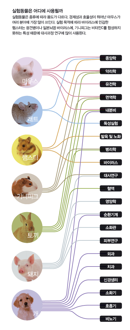 실험동물은 어디에 사용될까