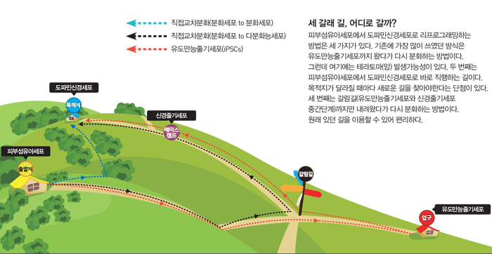 세 갈래 길, 어디로 갈까?