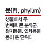 문(門, phylum)