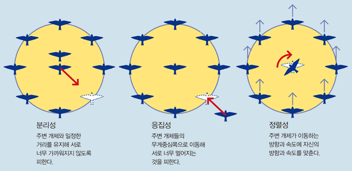 최초 군집알고리듬의 세가지 규칙분리성주변 개체와 일정한거리를 유지해 서로너무 가까워지지 않도록피한다.정렬성주변 개체가 이동하는방향과 속도에 자신의방향과 속도를 맞춘다.응집성주변 개체들의무게중심쪽으로 이동해서로 너무 멀어지는것을 피한다.