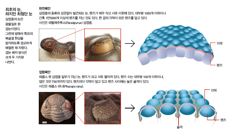 최초의 눈, 하지만 최첨단 눈