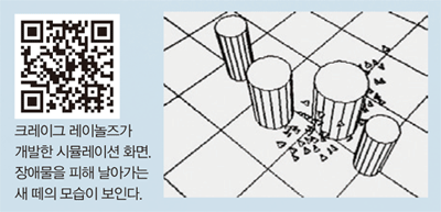 QR코드-크레이그 레이놀즈가개발한 시뮬레이션 화면.장애물을 피해 날아가는새 떼의 모습이 보인다.